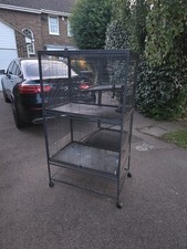 Rat chinchilla ferret for sale  HERNE BAY