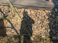 Trockenes kaminholz brennholz gebraucht kaufen  Altenburg