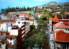 Postcard portugal madeira for sale  NORTHAMPTON