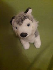 Stofftier husky gebraucht kaufen  Lindenberg