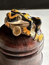 Spotted frog miniature for sale  Pasco