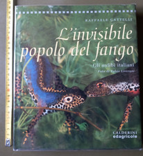 Raffaele gattelli invisibile usato  Faenza