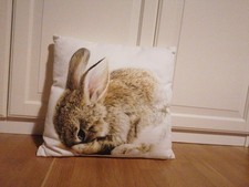 Dekokissen hasenmotiv gebraucht kaufen  Beelitz