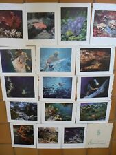 Underwater exploration hunting d'occasion  Expédié en Belgium