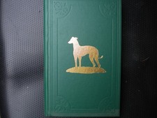 Greyhound stud book for sale  HARTLEPOOL