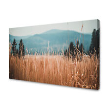 Leinwandbild natur grashalme gebraucht kaufen  Großröhrsdorf