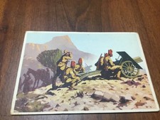Cartolina artiglieria indigena usato  Villanova di Camposampiero