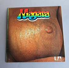 1970 niagara 1st gebraucht kaufen  Bremen