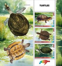 2025 liberia turtles d'occasion  Brunoy