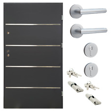 Ausstellungstür nj03 nebenein gebraucht kaufen  Kamen