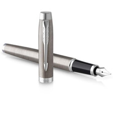 Parker penna stilografica usato  Roccagloriosa