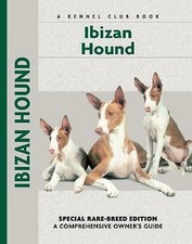 Good ibizan hound for sale  HEREFORD