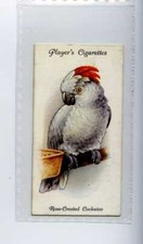 John players aviary for sale  WITHERNSEA
