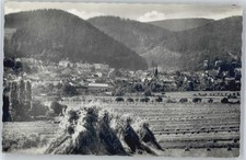 50594165 5804 friedrichroda gebraucht kaufen  Eimeldingen
