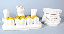 Columbia dentoform plaster for sale  Ocala
