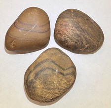 Natural striped bullseye for sale  Las Vegas