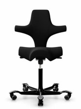 Hag capisco 8106 gebraucht kaufen  Wiesloch