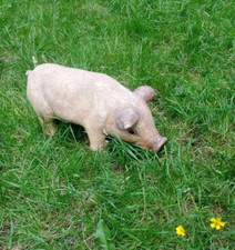 Alte gartenfigur schwein gebraucht kaufen  Berlin