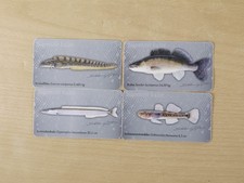 Finnish fish magnets for sale  RUGBY