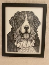 st bernese for sale  Bethesda