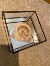 Articulated snake skeleton for sale  CHESHAM