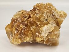 Golden honey orange for sale  Rockledge
