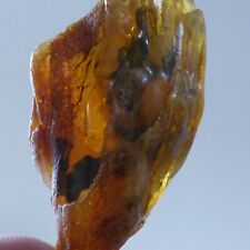 17.1g genuine baltic for sale  LUDLOW