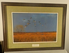 Owen gromme mallards for sale  Stevens Point