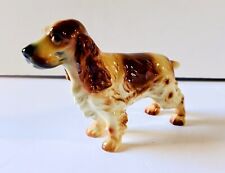 English springer spaniel for sale  San Francisco