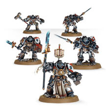 Grey knights brotherhood gebraucht kaufen  Horneburg