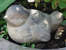 Vogel spatz sitzend gebraucht kaufen  Wittlich