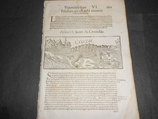 The coccodilia 1556 usato  Roma