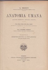 Anatomia umana. viii. usato  Italia