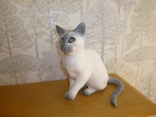 Winstanley siamese cat for sale  HUNTLY