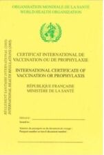 Carnet vaccination certificat d'occasion  Dijon