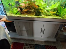 300l aquarium komplettset gebraucht kaufen  Berlin