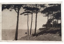 Cpsm moulleau parc d'occasion  Expédié en Belgium