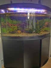 Aquarium fluval 350 gebraucht kaufen  Alken, Löf, Wolken