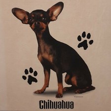 Chihuahua dog breeds d'occasion  Expédié en Belgium