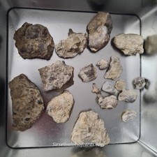 Large bundle marine for sale  WARWICK