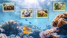 Mauritius unterwasserwelt post gebraucht kaufen  Iserlohn