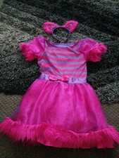 Cheshire cat fancy for sale  PETERBOROUGH