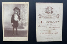 Bichon germain laye d'occasion  Pagny-sur-Moselle