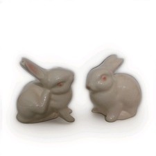 germany rabbit for sale germany rabbit for sale Toledo