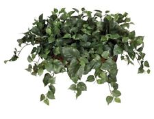 Artifical pothos ledge for sale  Andover