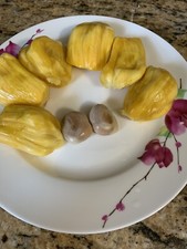 Fresh jackfruit seeds for sale  Saint Petersburg