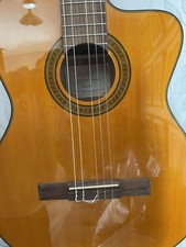 Takamine eg124c nylon for sale  CHESTER LE STREET