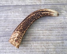 Antler tyne carving for sale  GLASGOW