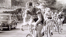 Elswick hopper racing for sale  SHEFFIELD