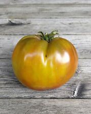Pomodoro grandma dwarf usato  Spedire a Italy
